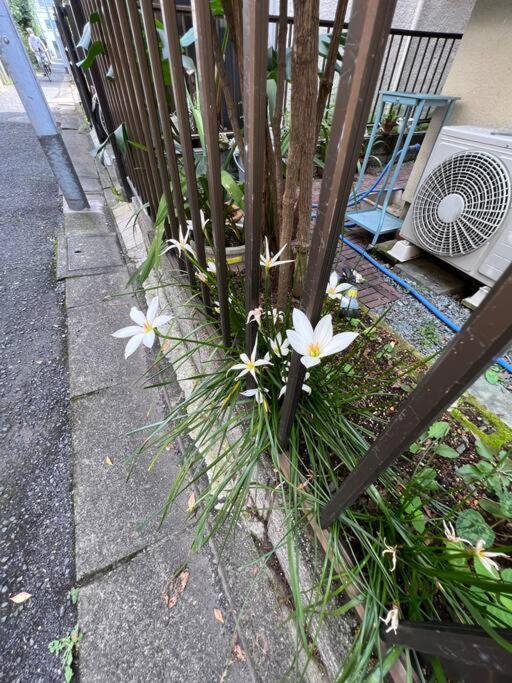 東京芳华驿站 Apartment โตเกียว ภายนอก รูปภาพ